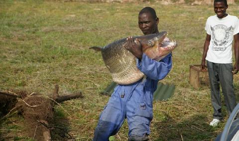 Seven Days Fishing Tour