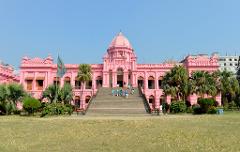 A pink building with a dome and stairs leads up to the entrance, with people walking down, a flag flying, and trees in front of it.