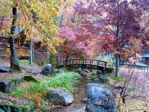 A serene autumn landscape featuring colorful trees, a small wooden bridge over a stream, and mossy rocks.