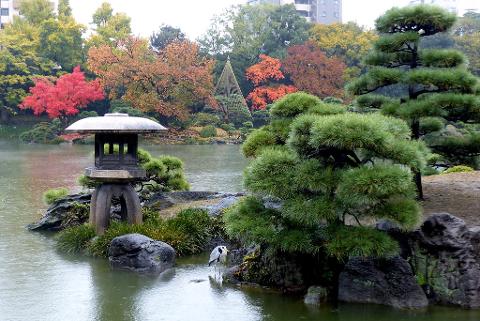 Tokyo & Kyoto Private Garden Tour: A Complete 6-Day Journey Through Japan's Most Beautiful Gardens A serene Japanese garden scene with a stone lantern on a small island in a pond, surrounded by lush greenery, autumn foliage, and a grey heron standing in the water.