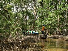 Salamanca Island Road Park Birdwatching Tour from Santa Marta A group of people in life vests are on a boat being propelled through a narrow waterway surrounded by trees.