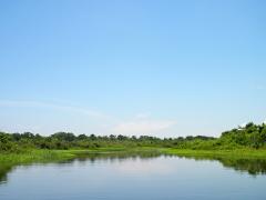 Ciénaga Grande de Santa Marta Birdwatching from Santa Marta A serene landscape featuring a tranquil river reflecting the clear blue sky, surrounded by lush green vegetation and trees along the banks.