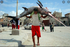A man carries a large swordfish on his shoulders through a city street, with other people and buildings visible in the background.