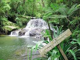Here's a description of the image:A small waterfall cascades into a pool of water surrounded by lush greenery, with a sign in the foreground warning of the potential dangers.