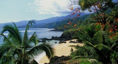 A wonderful trip to the Comoros, exploring birds and nature.