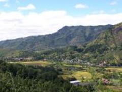 Certainly! Here's a description of the image:A scenic view of Madagascar shows lush, green hillsides and valleys with patches of farmland and small villages nestled among them under a sky with scattered clouds.