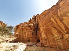 A low-angle shot of towering red rock formations under a clear blue sky, with sparse desert vegetation in the foreground.