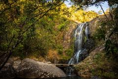 A serene waterfall cascading down a rocky cliff face surrounded by lush green foliage and trees, with a small bridge crossing the stream at the base.