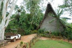 A hut made of straw and sticks stands at the edge of a jungle with an open-top safari vehicle parked nearby.