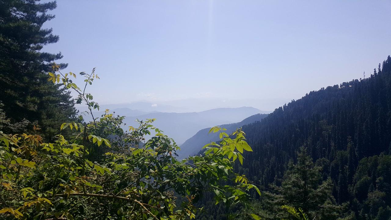 Day Tour to Murree Hill Station and Nathiagali