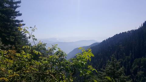 A scenic mountain view with lush green trees in the foreground and hazy mountain ranges in the distance under a bright sky.
