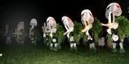 A group of people wearing elaborate, white, mask-like costumes with green foliage gathered on what appears to be grass in the night.