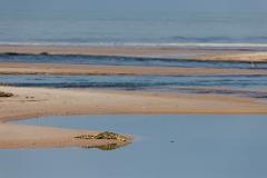 A crocodile rests on a sandbar in a shallow body of water, with the ocean and sandbanks in the background.