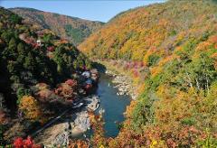 Une vue panoramique d&#39;une rivière qui coule à travers une vallée entourée de collines couvertes de feuillage d&#39;automne coloré.