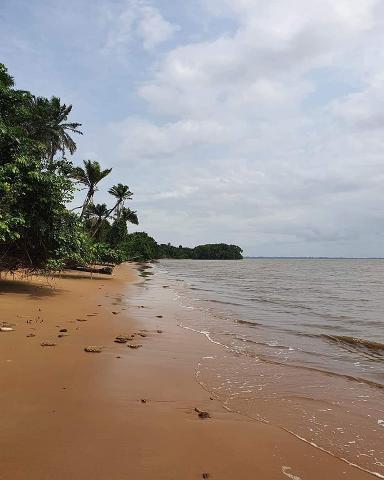 Douala Day Tour: Manoka Island