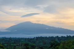 9-Day Cameroon Butterfly Expedition