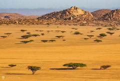 An expansive golden landscape dotted with trees stretches towards rocky hills under a pale sky.