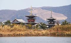 Two pagodas and a traditional Japanese building stand across a body of water, with reeds in the foreground and mountains in the background.