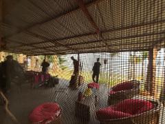 Seven Days Fishing Tour