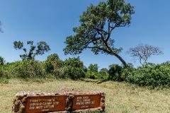 A sunny landscape in Kenya features a sign pointing to "Treetops Gate" and "Ark Gate", surrounded by trees and grassy terrain.