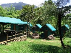 A lush green landscape features several small, cabin-like structures with blue roofs, nestled amongst trees and foliage, with a mountain visible in the background.