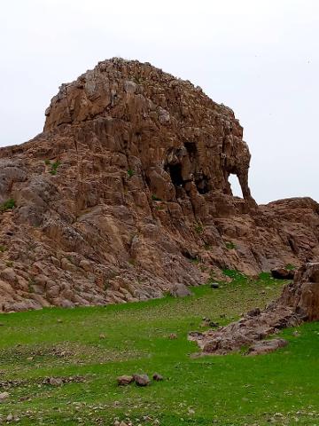 A large rocky formation, naturally shaped like an elephant's head, stands prominently amidst a green field.