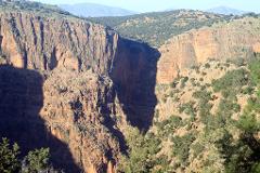 A deep canyon is carved into the reddish-brown rock, with greenery clinging to the sides and mountains in the background.