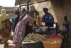 A bustling outdoor market scene with women in colorful traditional clothing selling onions and tomatoes.