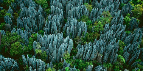 An aerial view showcases the unique landscape of Tsingy de Bemaraha in Madagascar, where jagged gray limestone formations rise dramatically amidst patches of green forest, creating a surreal and otherworldly scene.
