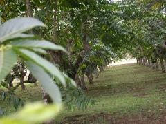 The Best of Mayotte Island: Half Day Heritage Discovery Tour