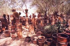 A vast display of diverse terracotta pottery sprawls under the sparse shade of trees.