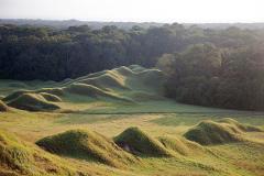 Rolling grassy mounds are illuminated by sunlight in front of a dense, dark forest.