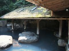 A serene hot spring bathhouse with a traditional thatched roof, weathered wooden supports, and large rocks submerged in the dark, inviting water.