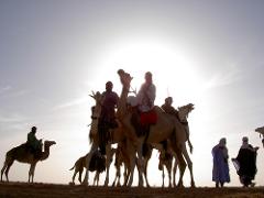 Méharée (camelback ride) in the Aïr Mountains- 12 to 14 Days A silhouette of a group of people riding camels in the desert, with the sun as a backdrop.