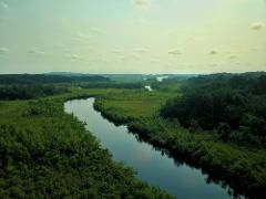 An aerial view of a serene river winding through lush green vegetation and dense forests under a pale, cloudy sky.