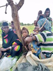 A group of people, including women and children, are gathered near a tree in a rural setting.