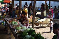 A vibrant market scene in Papua New Guinea features locals selling fresh produce such as cabbages, carrots, and garlic from stalls with people bustling around.