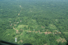 An aerial view of a lush, dense forest with a dirt road cutting through it, connecting a small village with houses scattered along the edge of the jungle.