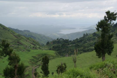 Eine malerische Landschaft mit üppigen grünen Hügeln, einem entfernten See unter einem bewölkten Himmel und vereinzelten Bäumen im Vordergrund.