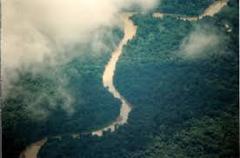 Here's a description of the image:An aerial shot shows a muddy river winding through a dense, green rainforest, partially obscured by clouds.