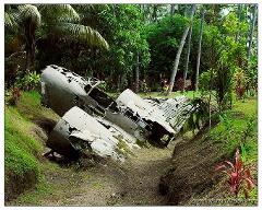 An old airplane wreck lies abandoned in a lush, tropical jungle, its weathered metal frame partially submerged in a ditch, surrounded by vibrant greenery.