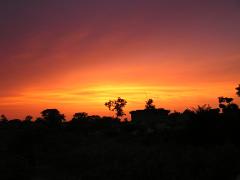 A striking sunset paints the sky in hues of orange, pink, and purple, silhouetting trees and a building against the vibrant light.