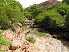 A picturesque rocky riverbed meanders through lush greenery, with a brown mountain range visible in the distance and a small group of people in the background.