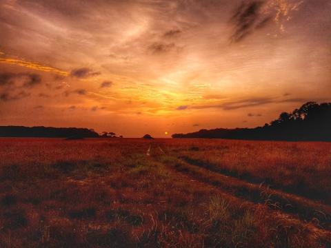 A dramatic sunset paints the sky with fiery orange and red hues over a vast, dry grassland with a silhouetted treeline in the distance.