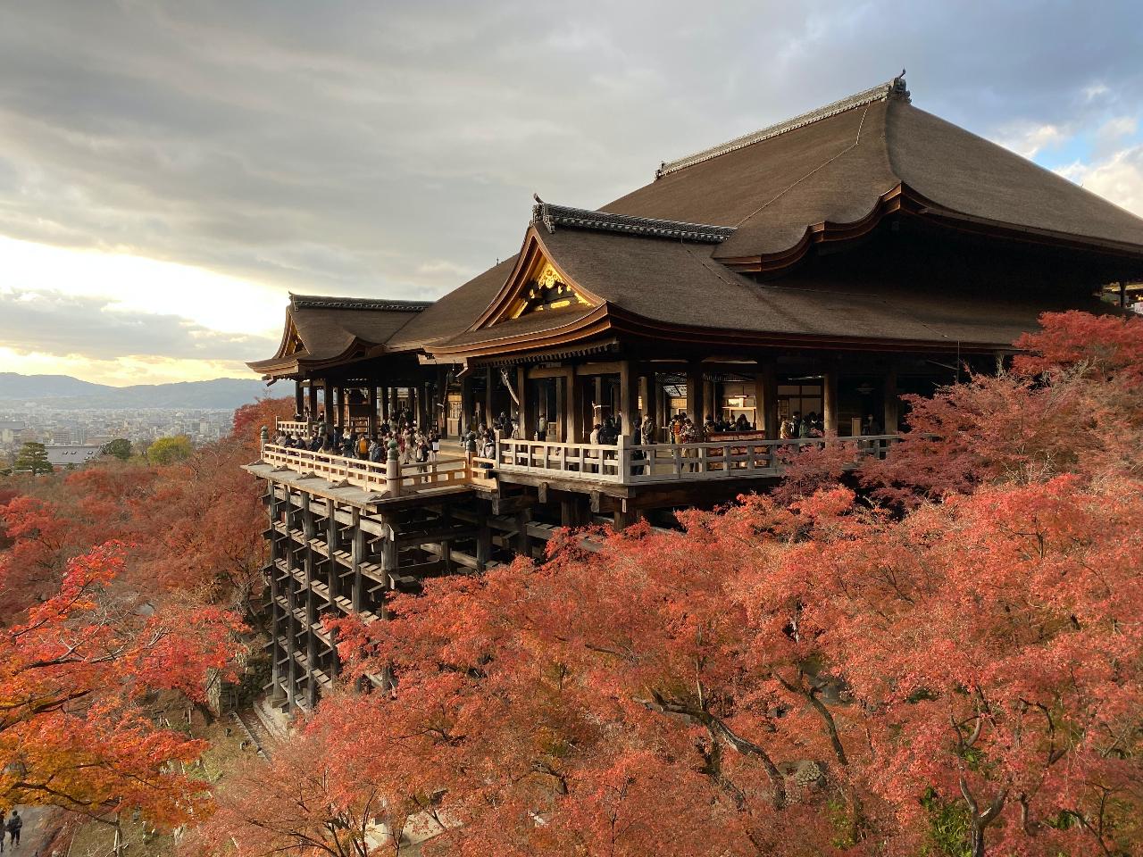 6-Day Classic Cultural Heritage Discovery Tour of Kyoto 