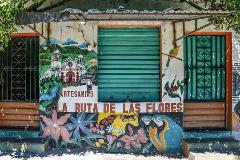 A vibrant storefront, likely in El Salvador, features a colorful mural advertising "Artesanias La Ruta De Las Flores," adorned with flowers, butterflies, parrots, and a landscape painting.