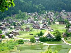 A scenic view of a traditional Japanese village with gabled houses, surrounded by rice paddies and lush green mountains.