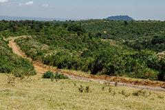A landscape view of a grassy field leading to a dirt road that winds through a lush green hillside with a distant mountain range under a hazy sky.