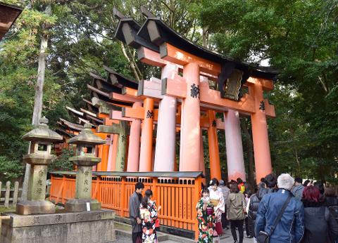 Kumano Kodo & Kansai Heritage Tour in Japan (Ise, Nachi, Nara & Kyoto)