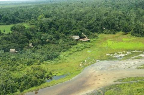 This aerial shot captures a lush, green landscape with dense forest meeting marshy grasslands and a winding river, likely depicting the environs of a camp in Odzala-Kokoua Park.
